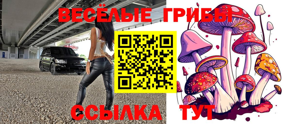 Галлюциногенные грибы Magic Shrooms  Вход с VPN  Звенигород  Галлюциногенные грибы Magic Shrooms 